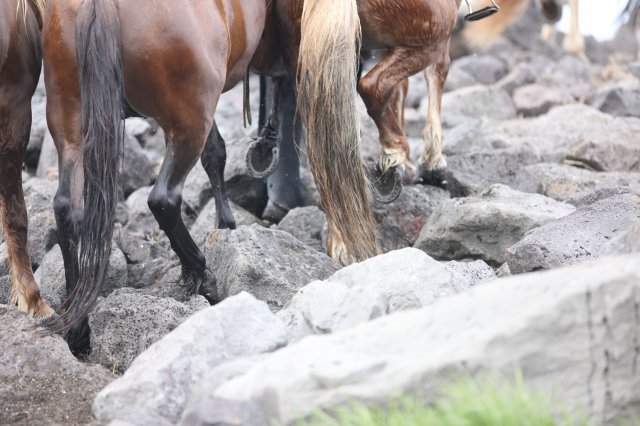 Baðtúr 2008